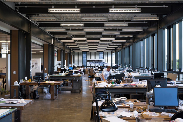 Open workplace with ceiling-mounted Track Busway power and lighting