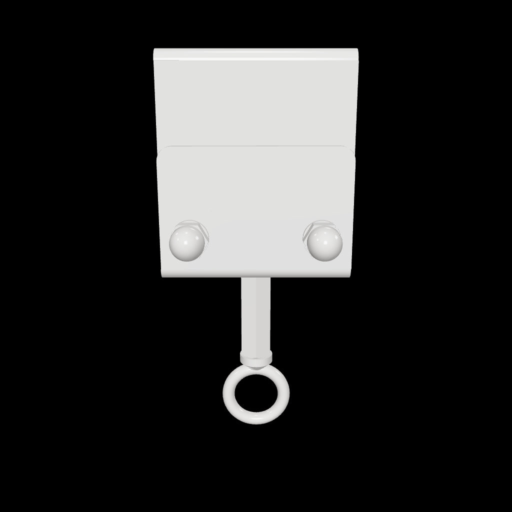 Eye Bolt