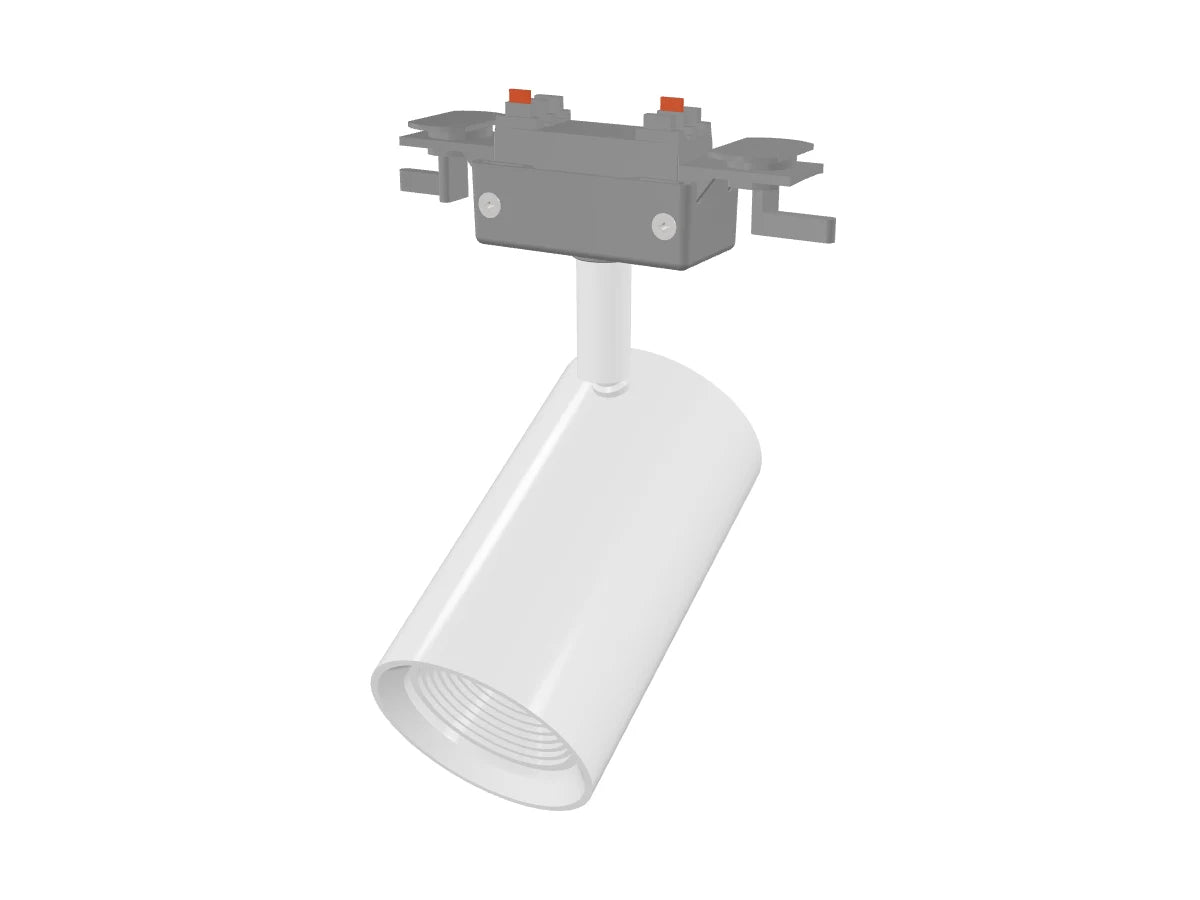 Rendered 3D view of Cylinder LED Wide Flood